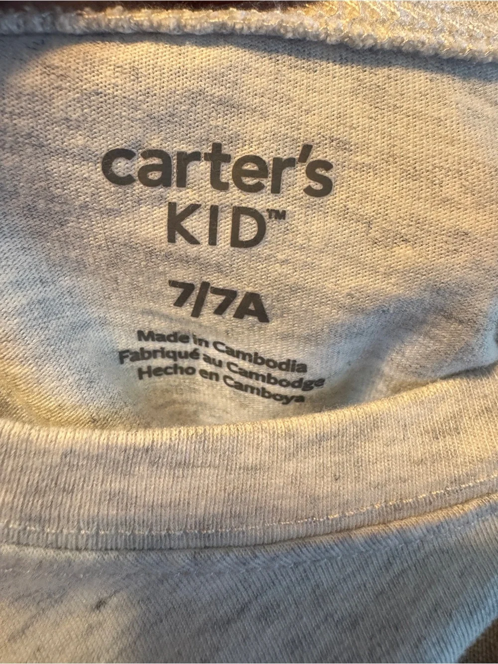 Carter's Light Gray Long Sleeve Tee with Snowboarding Dinosaur Graphic